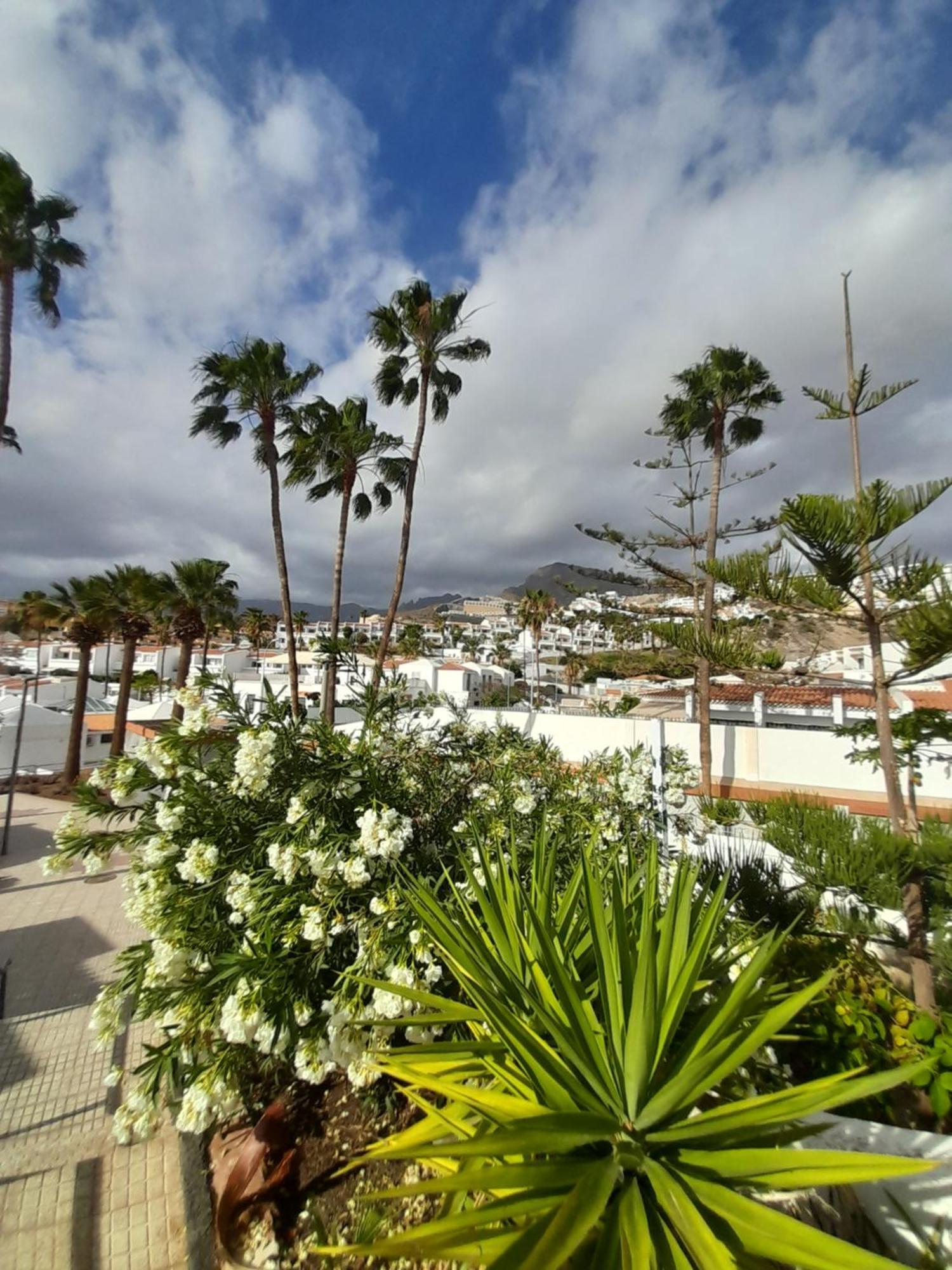 Apartments Island Village Heights Costa Adeje  Zewnętrze zdjęcie